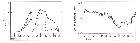 soil water content